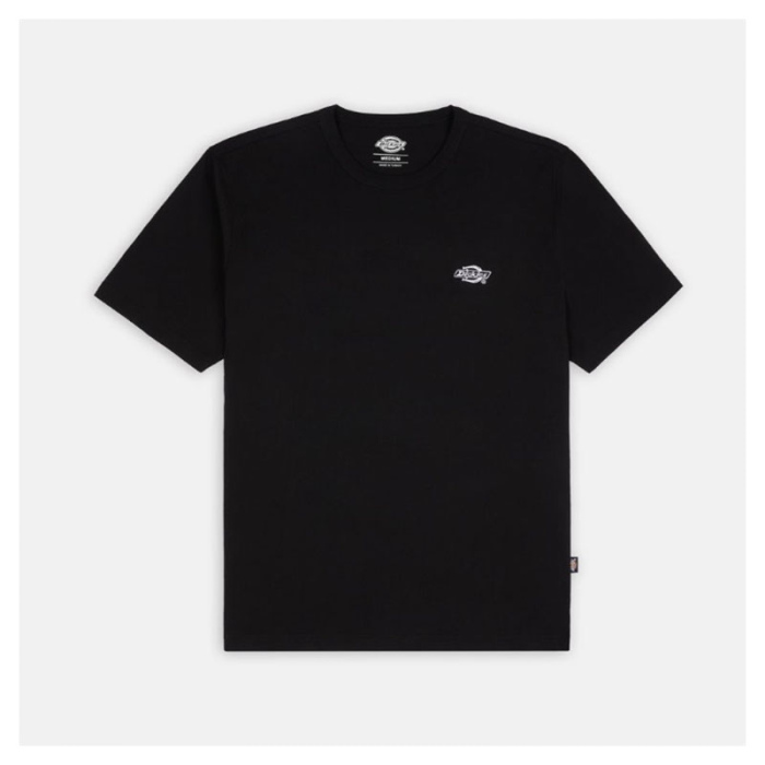 Dickies Summerdale T-Shirt Black DK0A4YAIDNX1