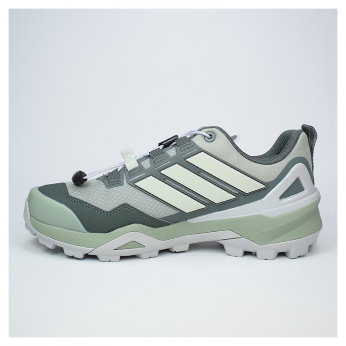 Adidas Terrex Skychaser GTX W SilverGreen/LinenG/LIvy IH1101