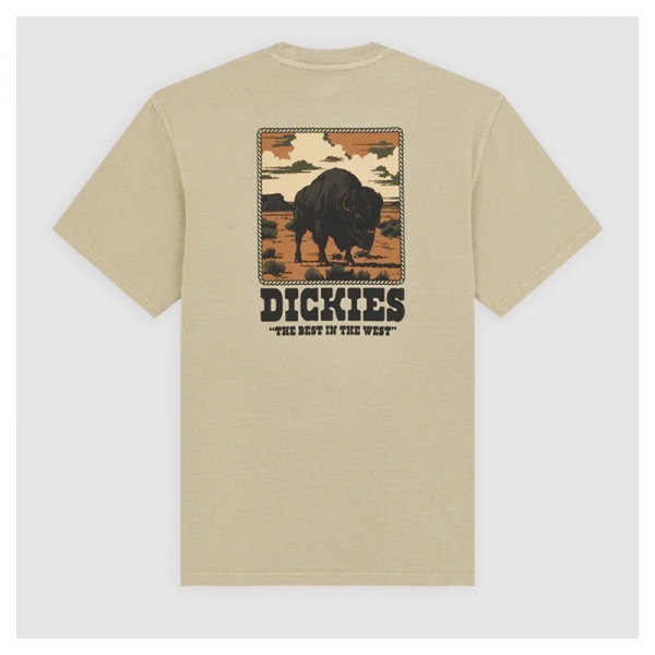 Camiseta Dickies Darrtown SS Tee Sand DK0A8QQL441