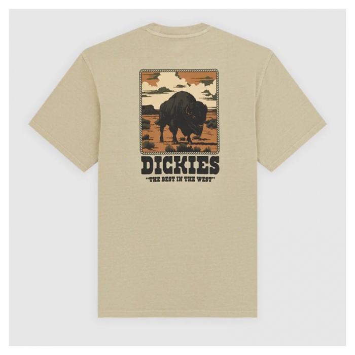 Camiseta Dickies Darrtown SS Tee Sand DK0A8QQL441
