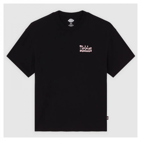 Camiseta Dickies Polk SS Tee Black DK0A88G0BLK1
