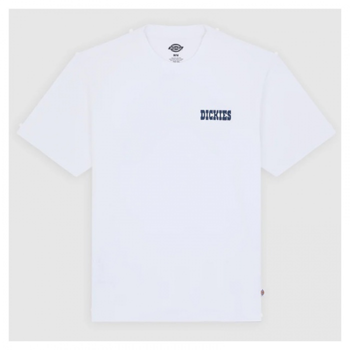 Camiseta Dickies Plain City SS Tee White DK0A88JI0WH1