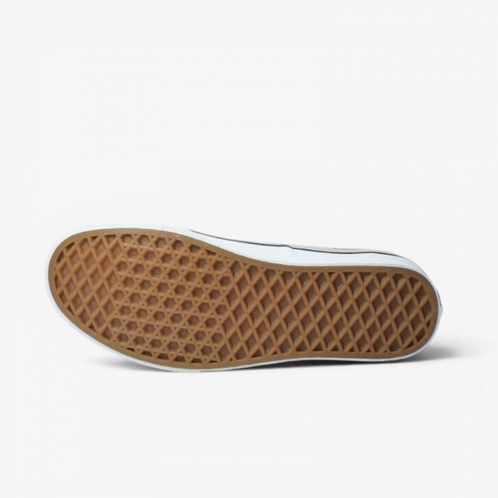 Vans Authentic Color Theory Mushroom VN000D6G7D61