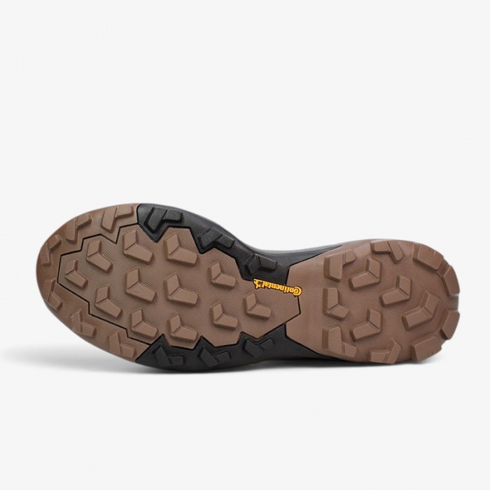 Adidas Terrex Skychaser GTX W Earstr/Greone/Seflaq JQ9935